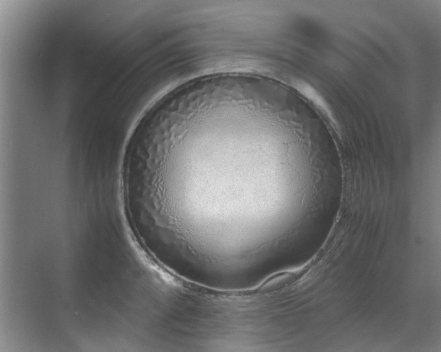 X0000071831088200606301312