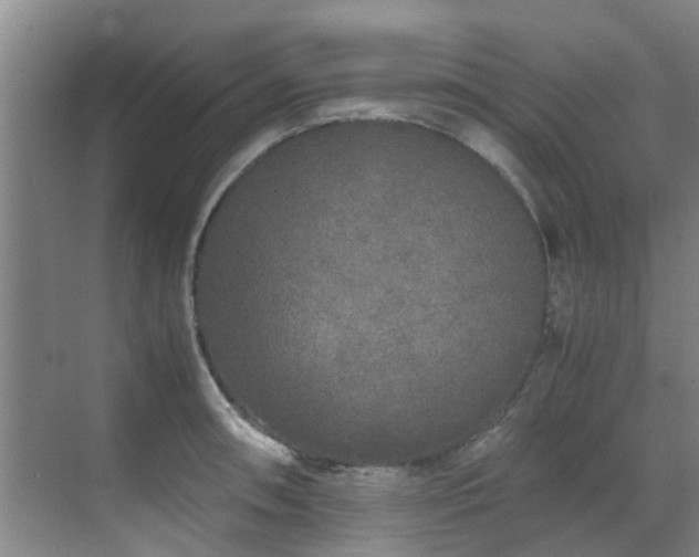 X0000071831090200606301312