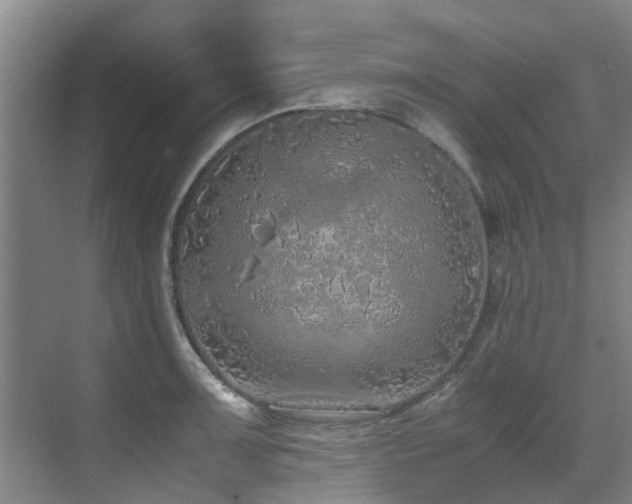 X0000071831091200606301312