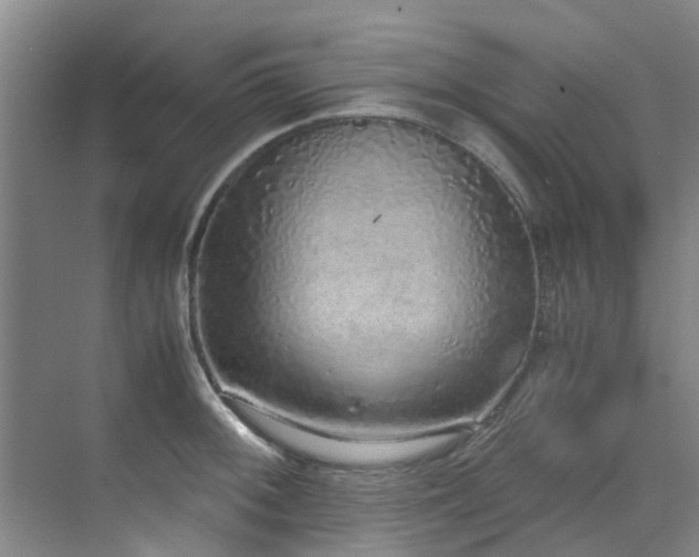 X0000071831092200606301312