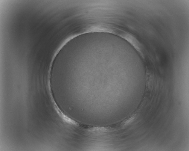 X0000071831094200606301312