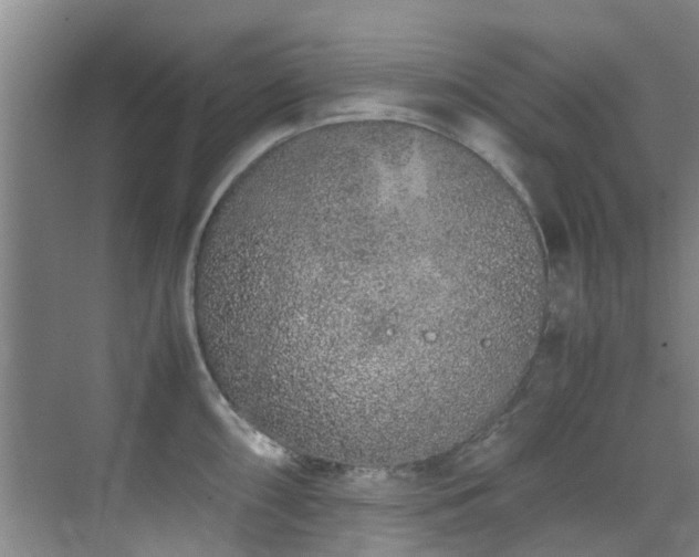 X0000071831098200606301312