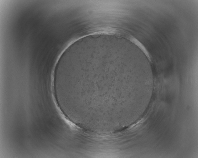 X0000071831099200606301312