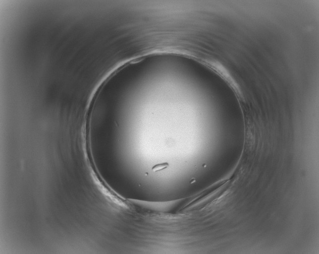 X0000071831100200606301312