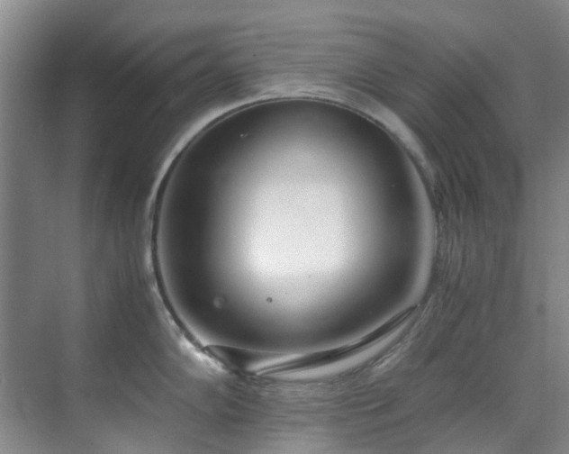 X0000071831102200606301312