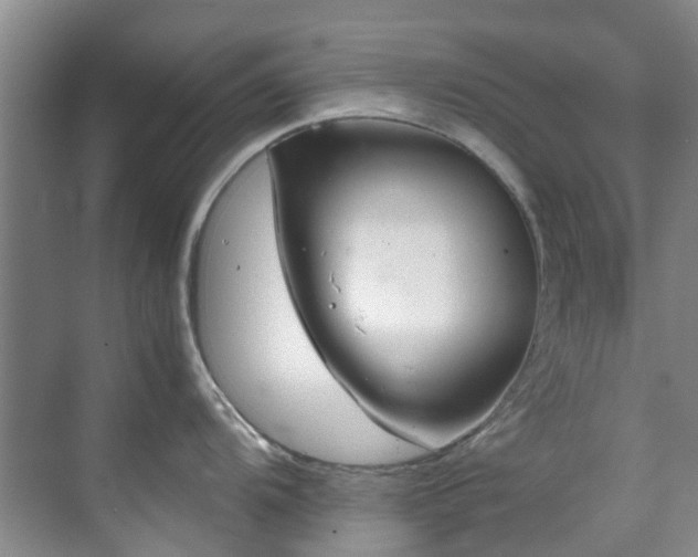 X0000071831104200606301312