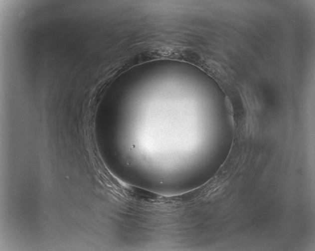 X0000071831105200606301311