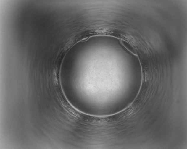 X0000071831106200606301311