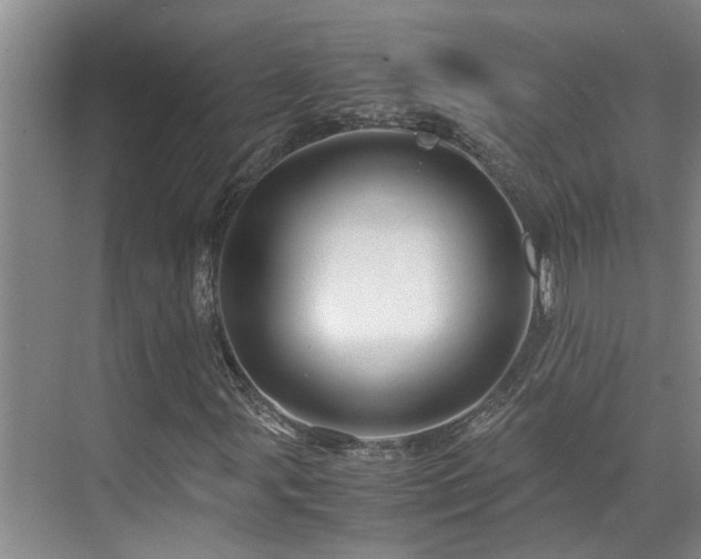 X0000071831107200606301311