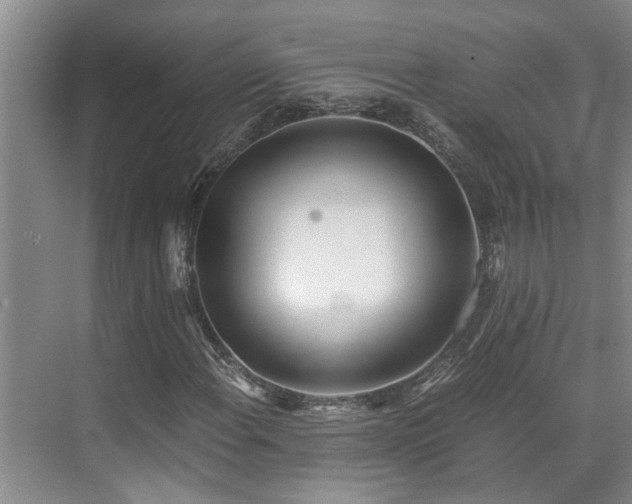 X0000071831108200606301311