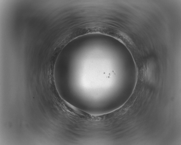 X0000071831111200606301311