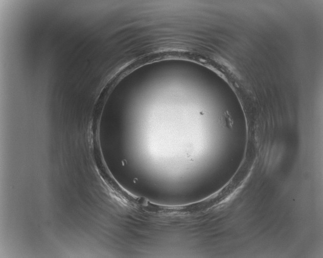 X0000071831113200606301311