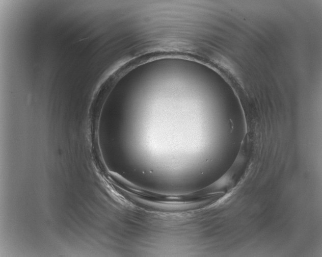 X0000071831114200606301311