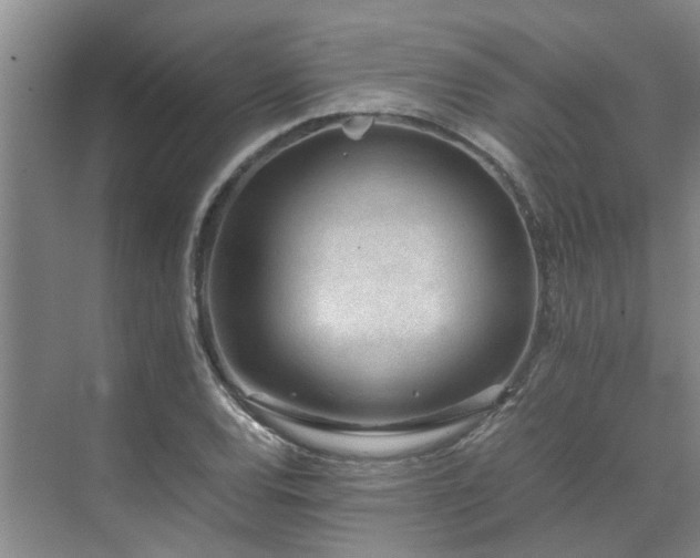 X0000071831120200606301311