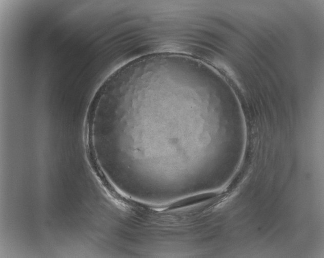 X0000071831125200606301312