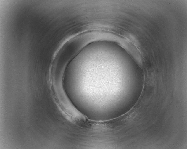 X0000071831128200606301312