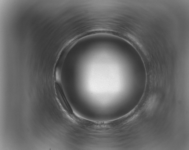 X0000071831129200606301312