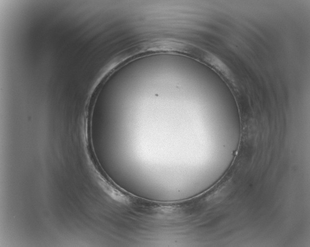 X0000071831130200606301312