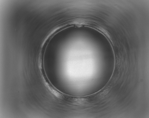 X0000071831131200606301312