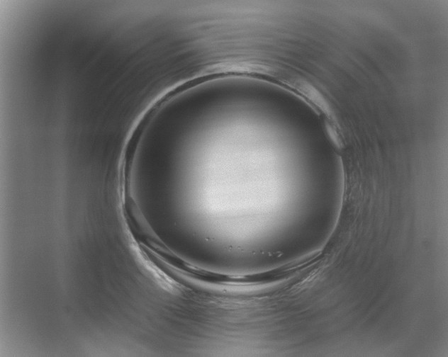 X0000071831132200606301312