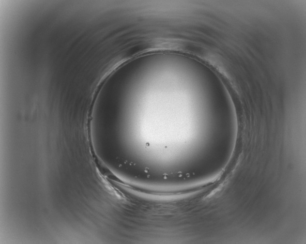 X0000071831137200606301312