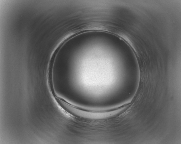 X0000071831139200606301312