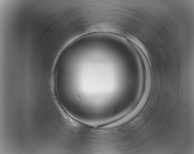 X0000071831144200606301312