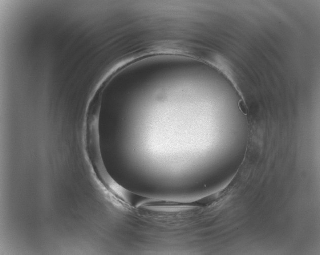 X0000071831147200606301312