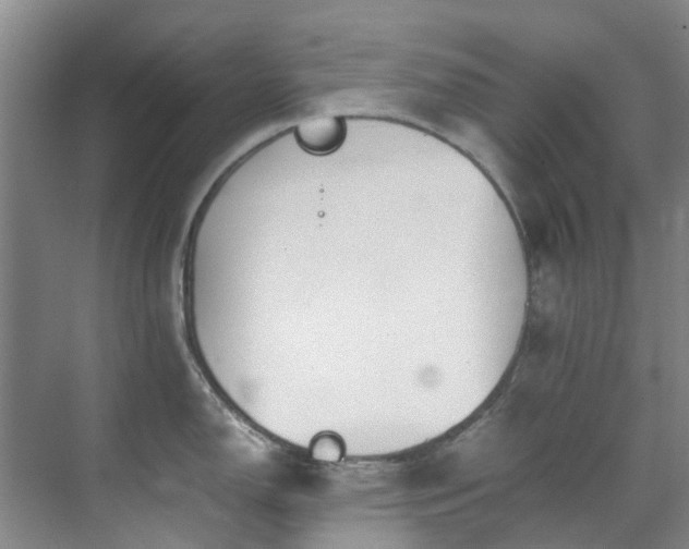 X0000071831150200606301312