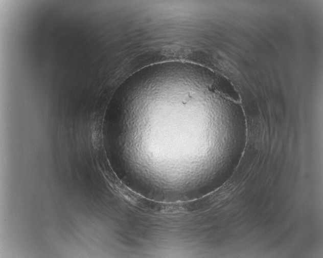 X0000071831154200606301311