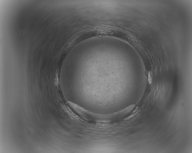 X0000071831155200606301311