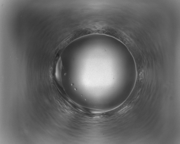 X0000071831156200606301311