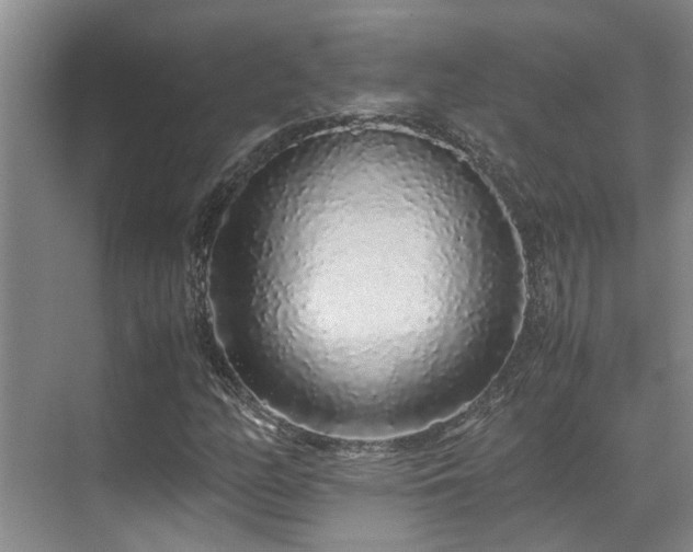 X0000071831158200606301311