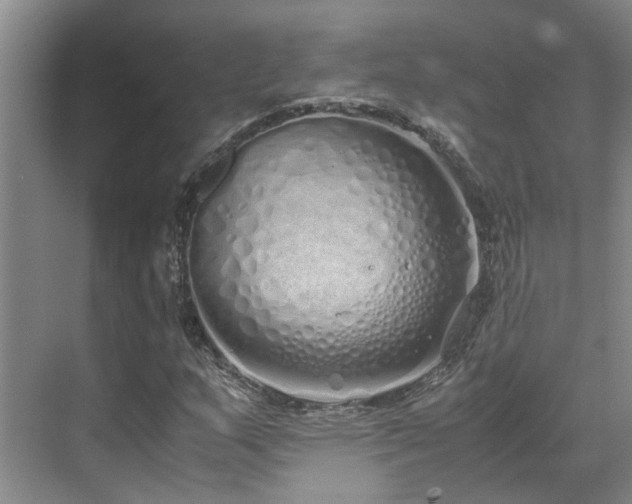 X0000071831159200606301311