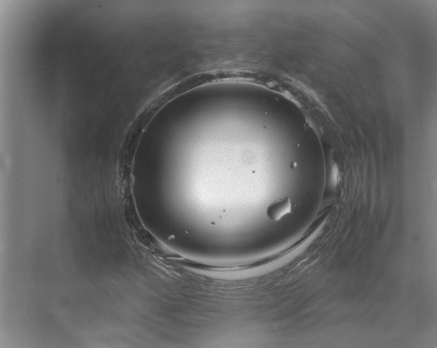 X0000071831160200606301311