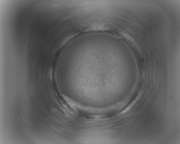 X0000071831161200606301311