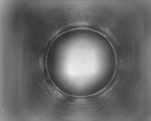 X0000071831162200606301311