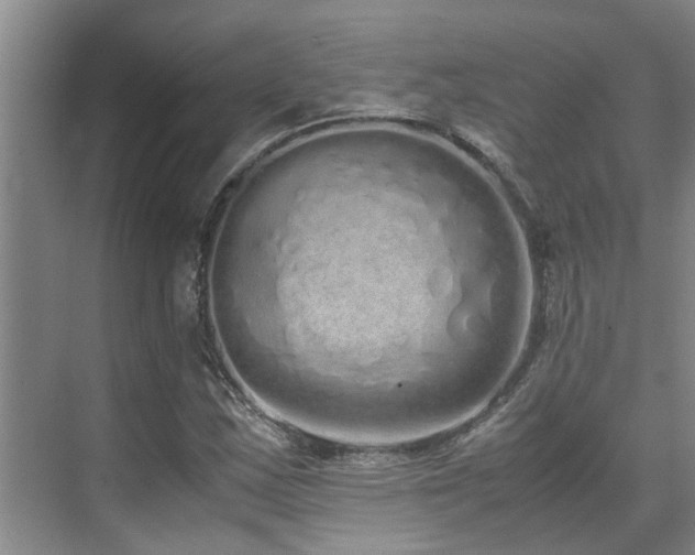 X0000071831163200606301311