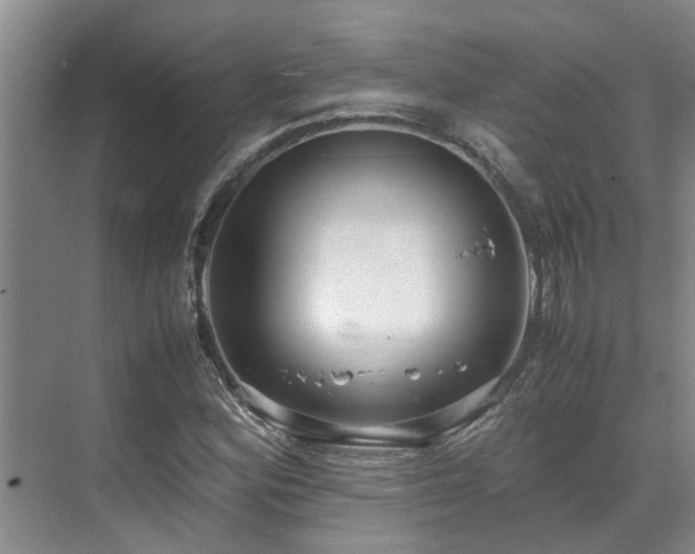 X0000071831164200606301311