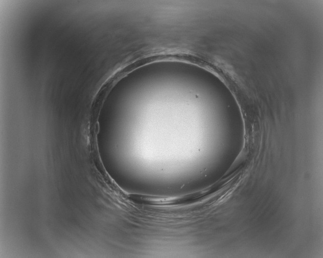 X0000071831165200606301311