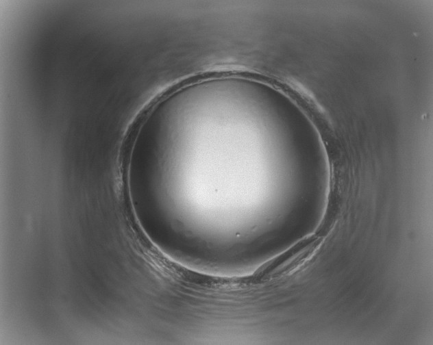 X0000071831167200606301311