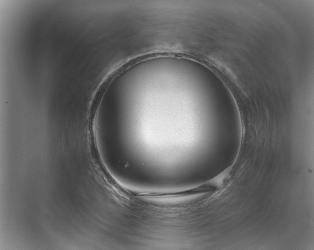 X0000071831168200606301311