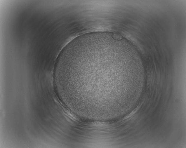 X0000071831170200606301311