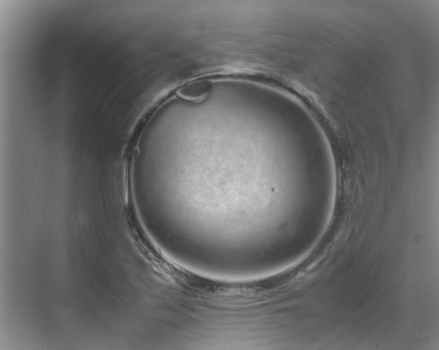 X0000071831171200606301311