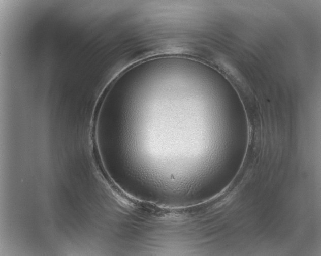 X0000071831178200606301311