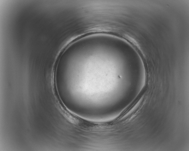 X0000071831179200606301311