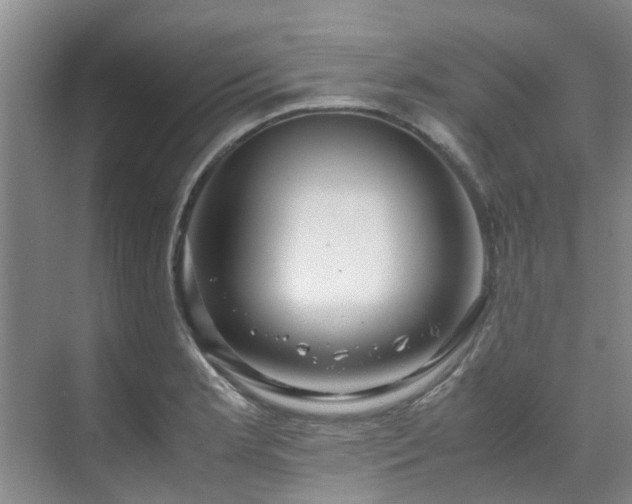 X0000071831181200606301311