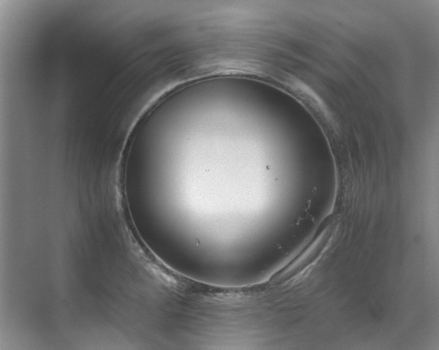 X0000071831182200606301311