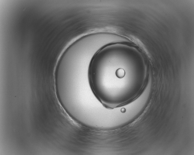 X0000071831184200606301311