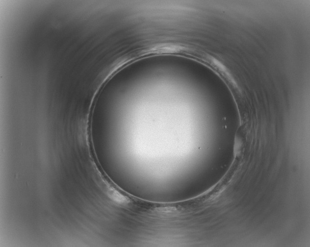 X0000071831186200606301311